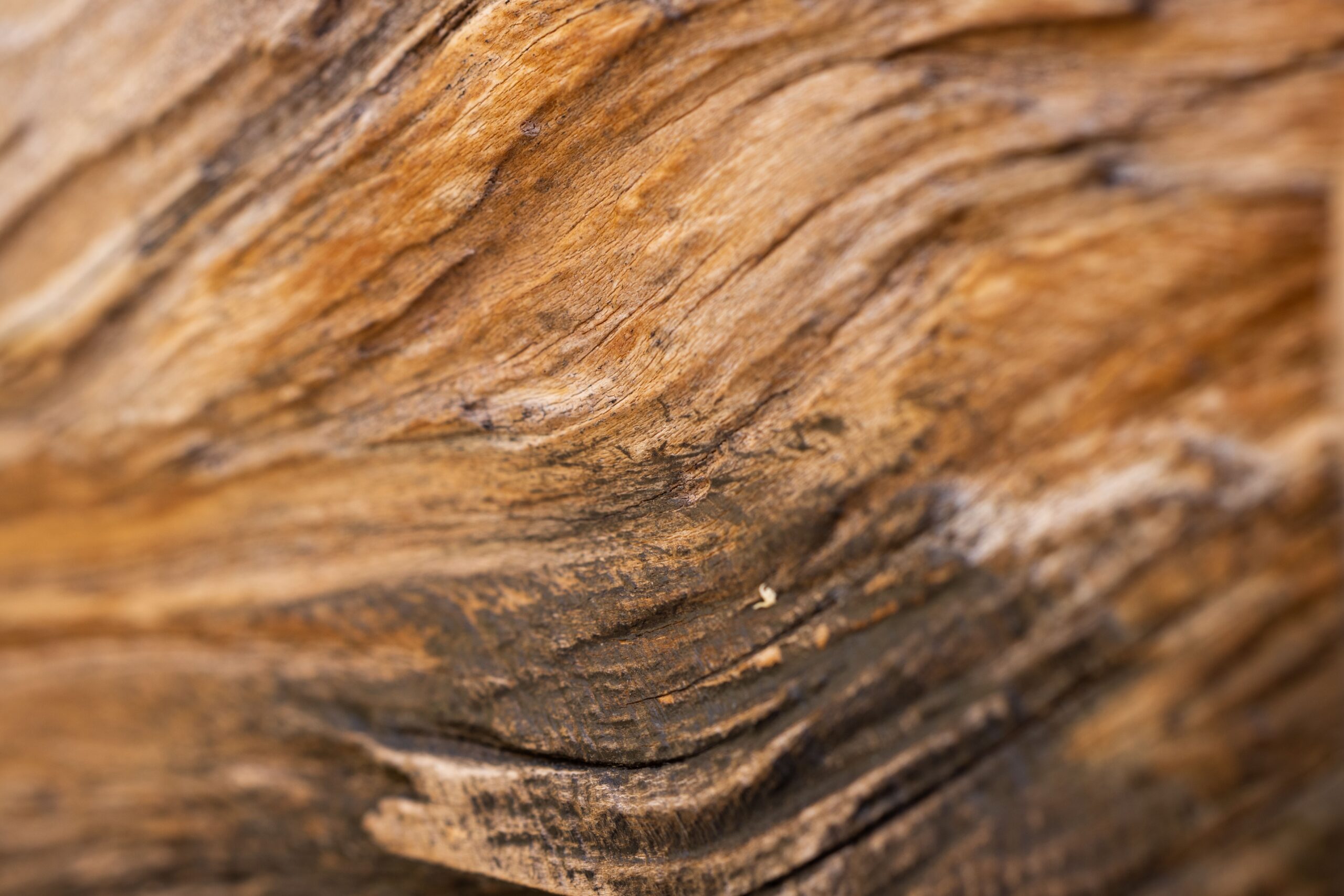 Madera
